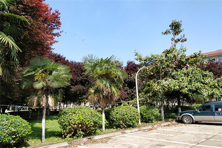 隆腾花园3室2厅2卫90万114m2精装修出售